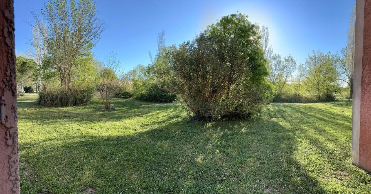 Ferienwohnung Nid Douillet Avec Terrasse Au Calme Arles Exterior foto